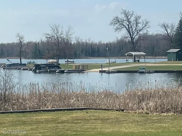 6214 Larch Trl, Lake, MI 48632