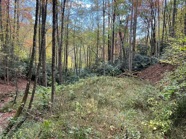 17 Black Bear Trl, Nantahala, NC 28781