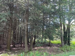 Deer Run Rd, Ashland, NY 12407