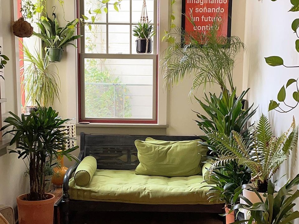 The place will be delivered empty. This is just an example of the previous, plant loving tenant's setup