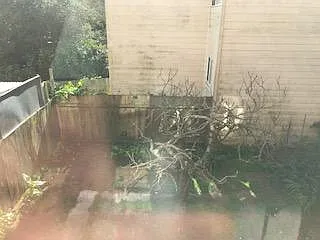 backyard(old)