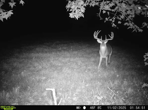 2738 Cr, Naples, TX 75568