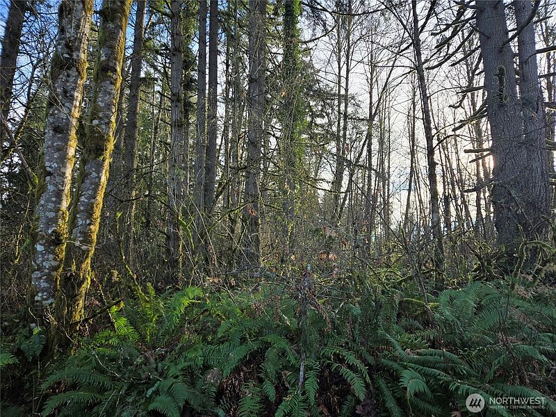 5th image of 233 XX State Highway 3 NW