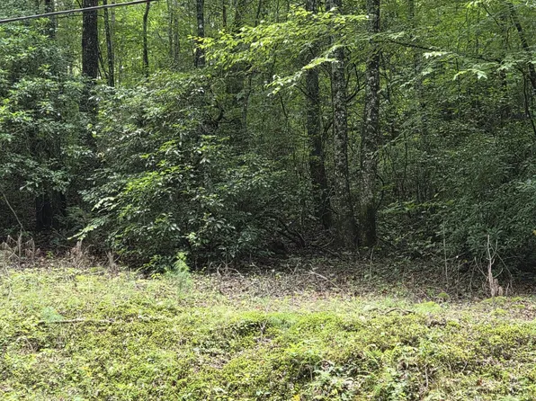 0 Chopped Oak Rd, Ellijay, GA 30540