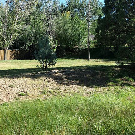 5th image of 591 Arena Dr