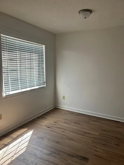 2 bed, 1.5 bath, 990 sqft, $1,000 — Photo 2