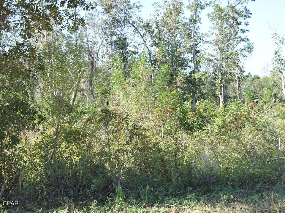 2nd image of 10450 River Alley Rd