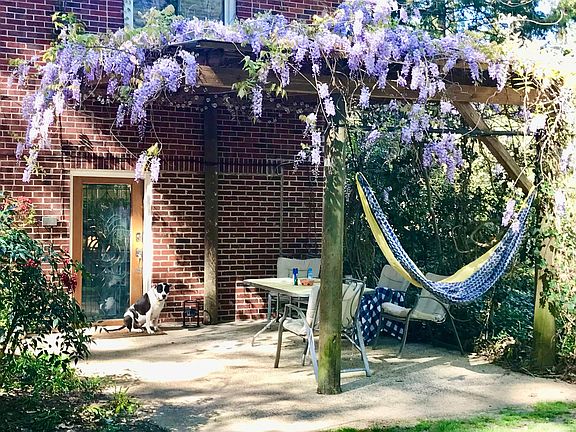 Wisteria Trellis over Cement Patio