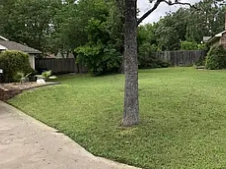 9102 Japonica Ct #A — Photo 11