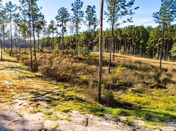 2 Blackbuck Dr, Moscow, TX 75960