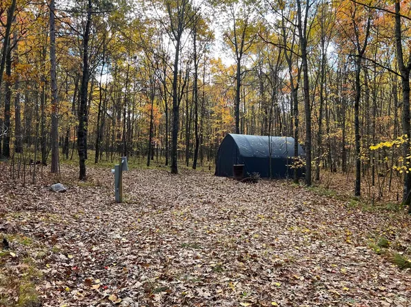 10886 Randall Ln, Suring, WI 54174