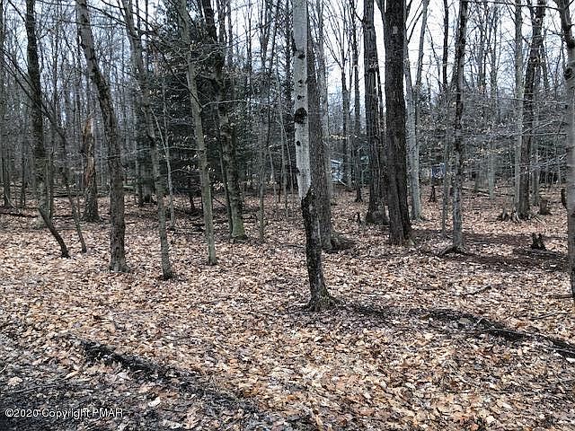2nd image of Timberlane Dr