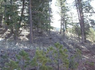 28 Missouri Gulch Rd, Woodland Park, CO 80863