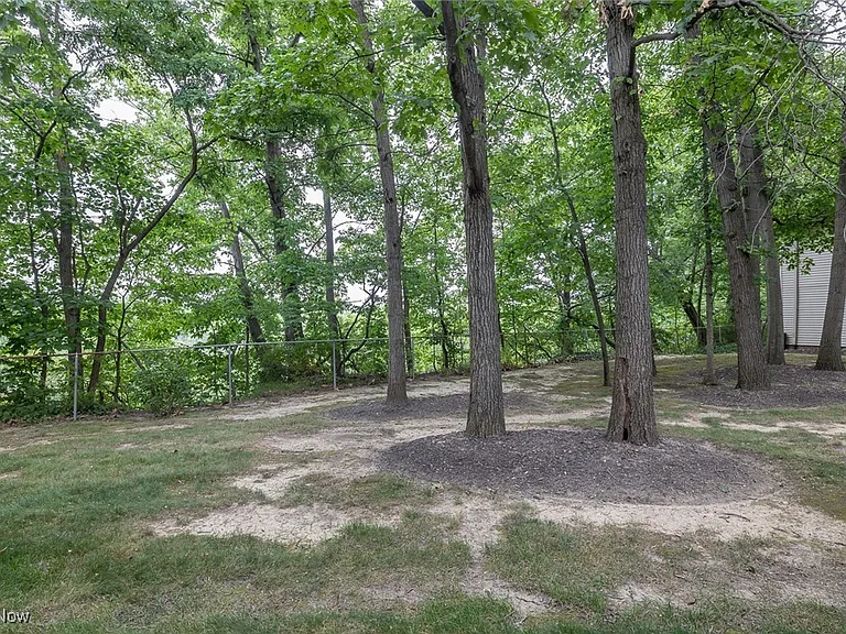 11515 Pearl Rd #B202 — Photo 19