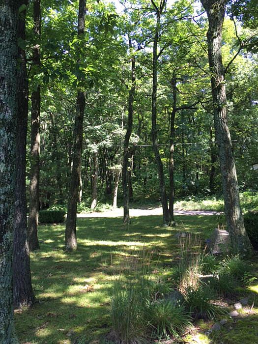 2nd image of Evergreen Ln