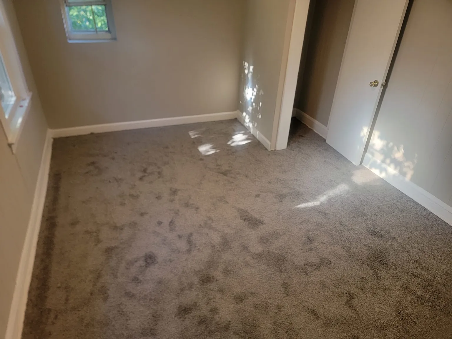 2 bed, 1000 sqft, $1,350 — Photo 2