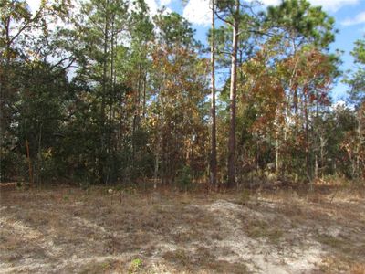 5 & 6 SW 168th Cir, Ocala, FL, 34481
