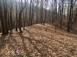 694 Poverty Rd, Cleveland, GA 30528