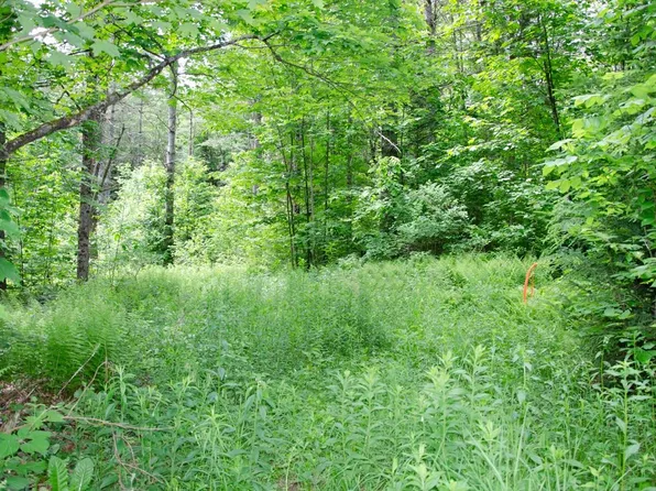 00 Jerusalem Road, Marshfield, VT 05658
