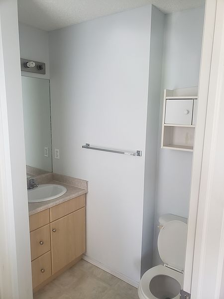 Edmonton Townhouse for rent - 3 Bedrooms — photo 3