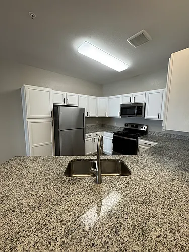 472 Houston Ridge Dr #817 Photo 1