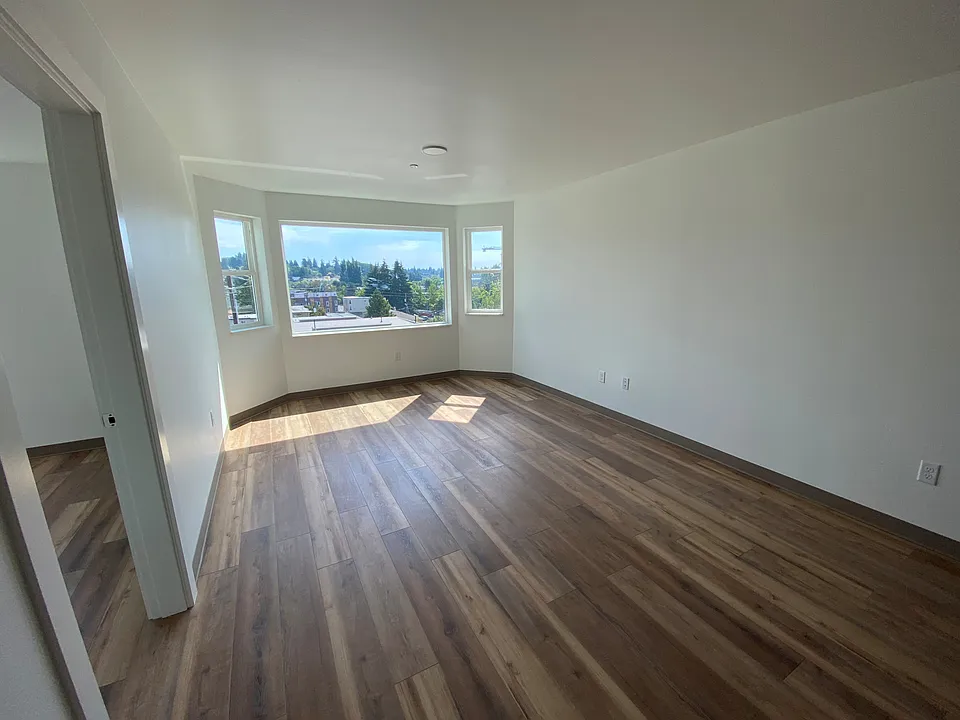 Light filled living room