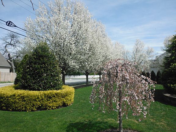 Topshelf landscaping