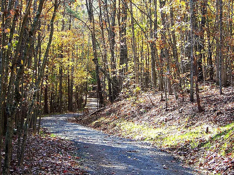 Community hiking trail...this is not far from our community lake. The hiking trail path if you continue all the way vearing to the right ends in a cute small waterfall... there is a viewing area before with rocking chairs.