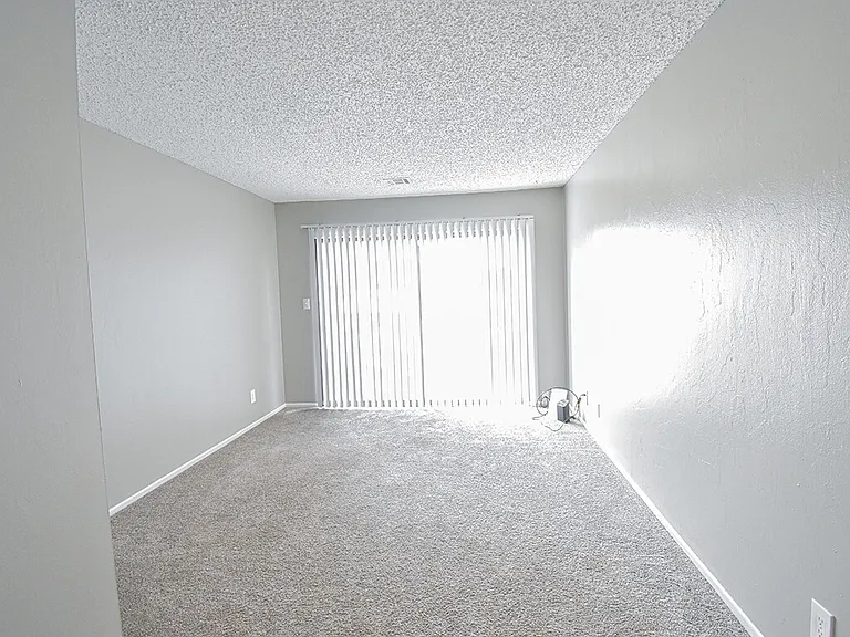 Abundant Natural Lighting