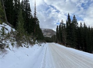 621 Kimmes Ln, Breckenridge, CO 80424