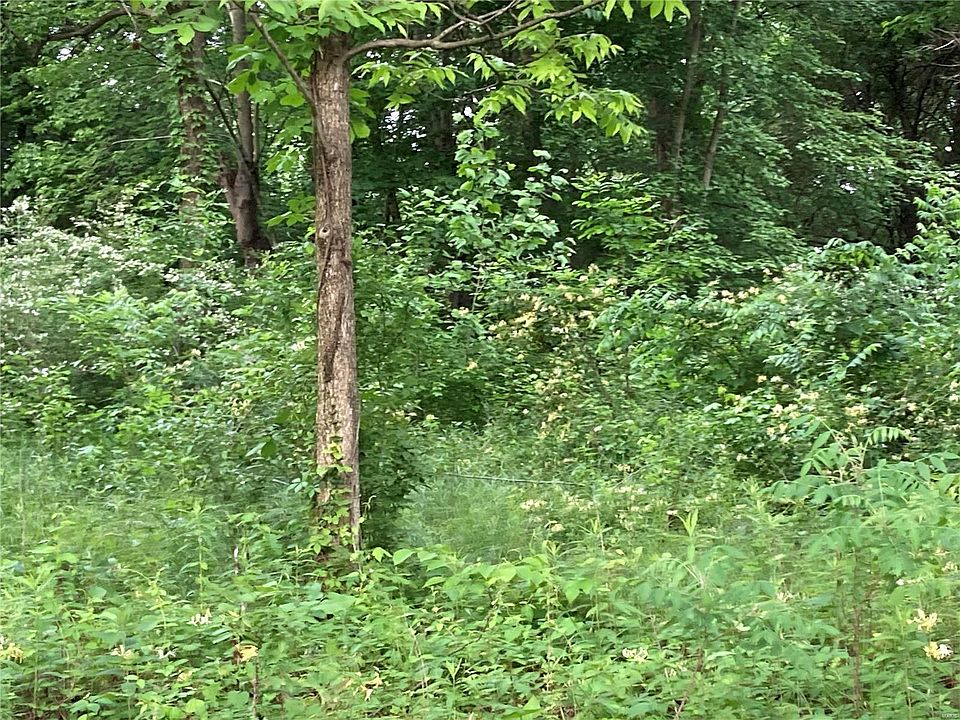 1st image of 0 Highway 53