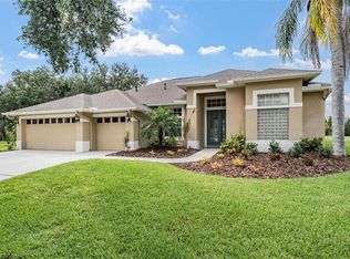 19118 Mandarin Grove Pl, Tampa, FL 33647