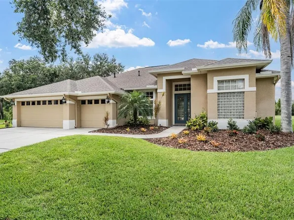 19118 Mandarin Grove Pl, Tampa, FL 33647