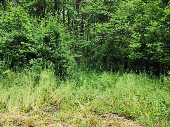 Pine Tree Rd, Hartly, DE 19953