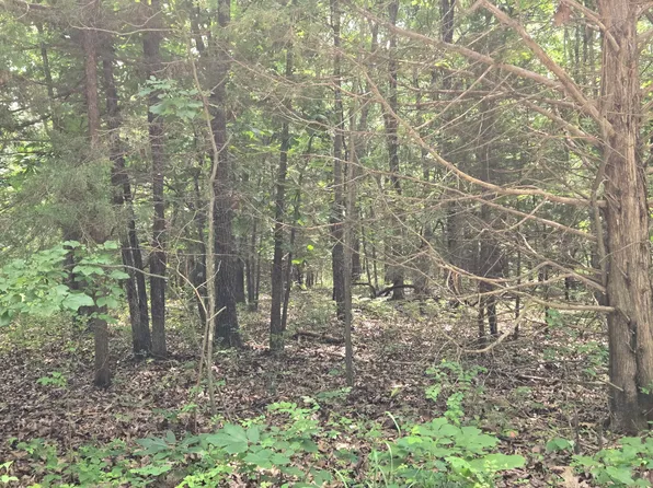 002 Muleshoe Trail #002, Elkland, MO 65644