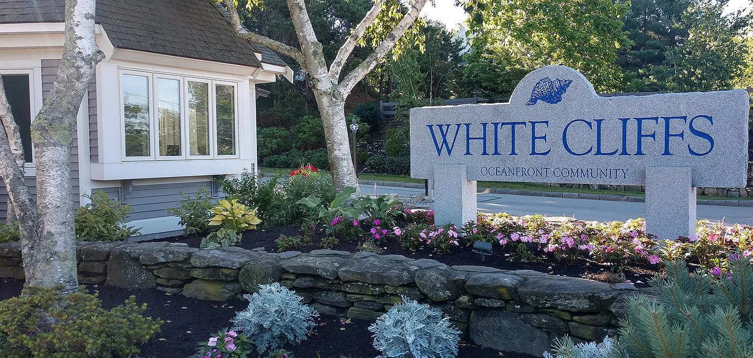 214 White Cliff Dr — Photo 1