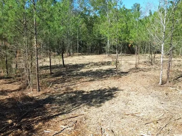 TRACT Walker Rd #A, Kentwood, LA 70444