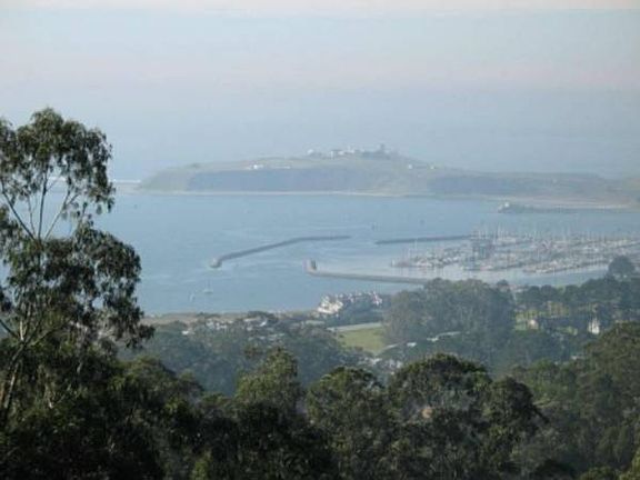 Neighborhood Bluff