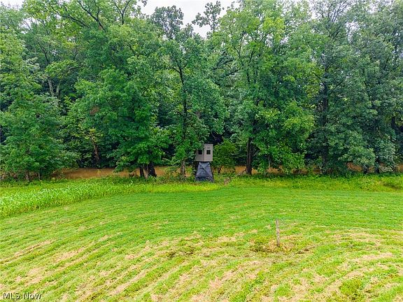 5th image of Pigeon Gap Rd