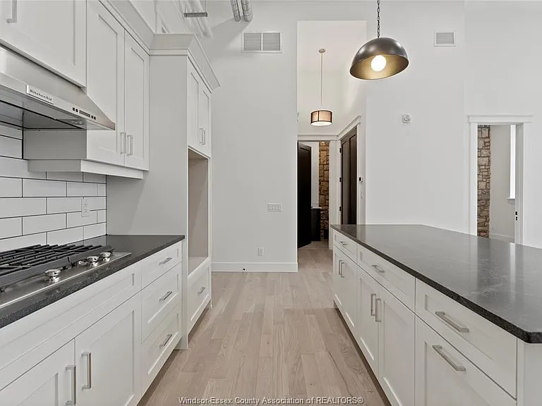 247 Brock St #204 — Photo 8