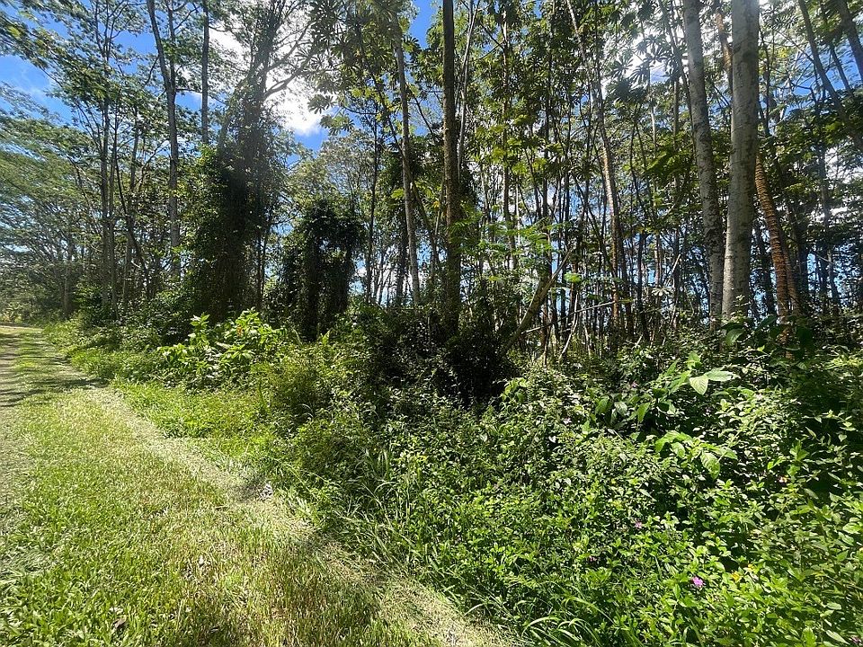 1st image of Plumeria Rd Lot 172