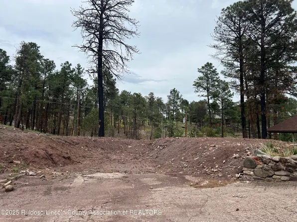 113 Pine Cone Ln, Alto, NM 88312