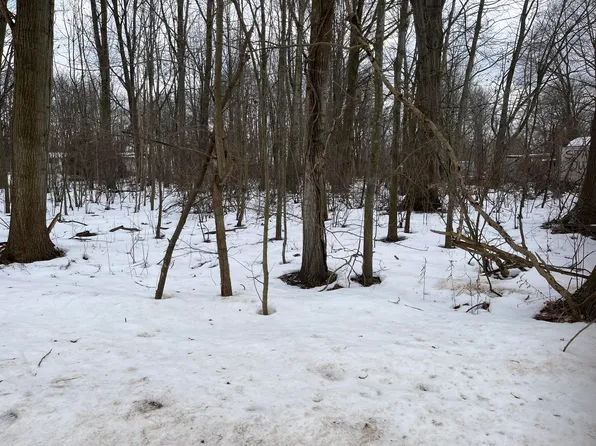 589 48th St, Grand Junction, MI 49056