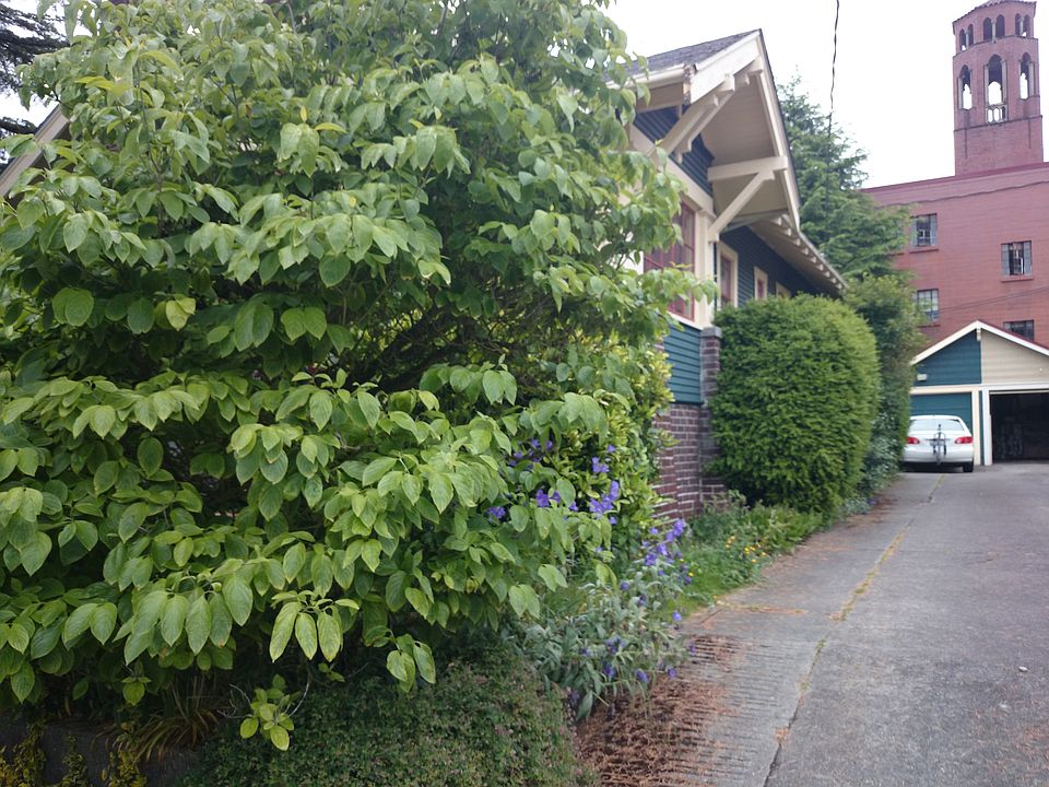 2nd image of 6511 22nd Ave NW