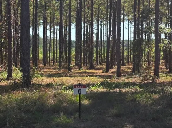 6 Army Recreation Rd, Florien, LA 71429