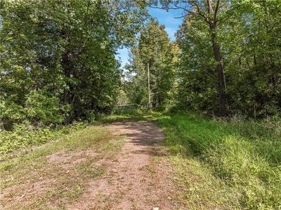 40 acres 330th Street, Boyd, WI, 54726