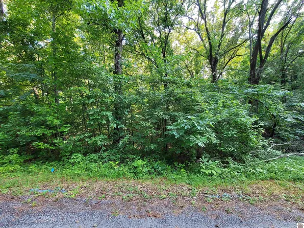 Windsong Cir, Murray, KY 42071