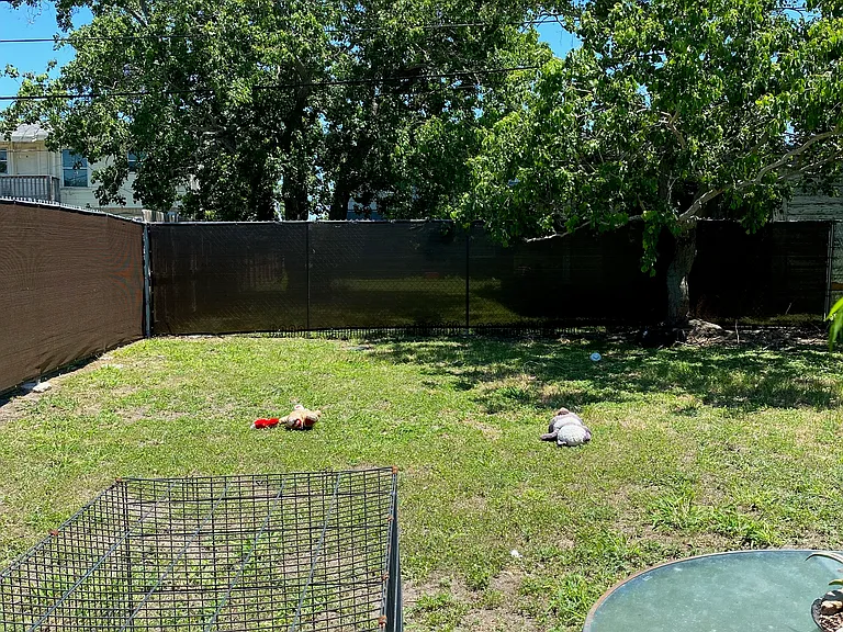 653 Robinson St #4 — Photo 4