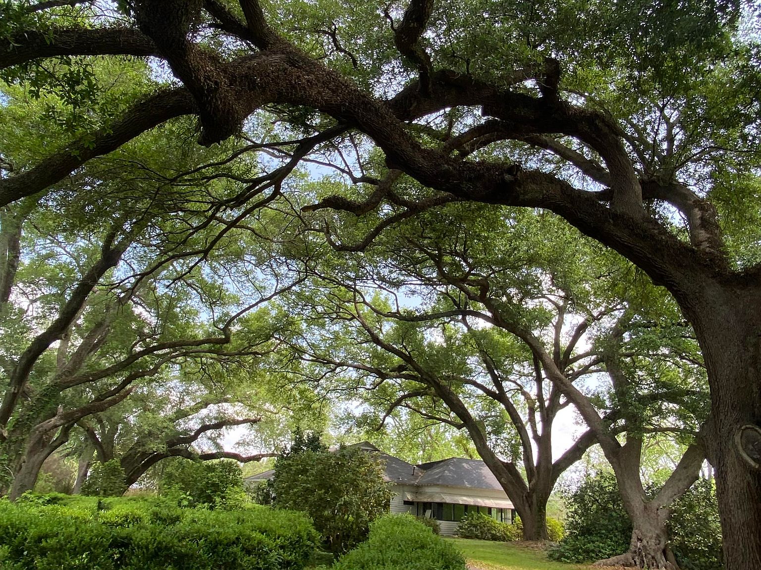 2935 Highway 171, Deridder, LA 70634 MLS 264529 Zillow