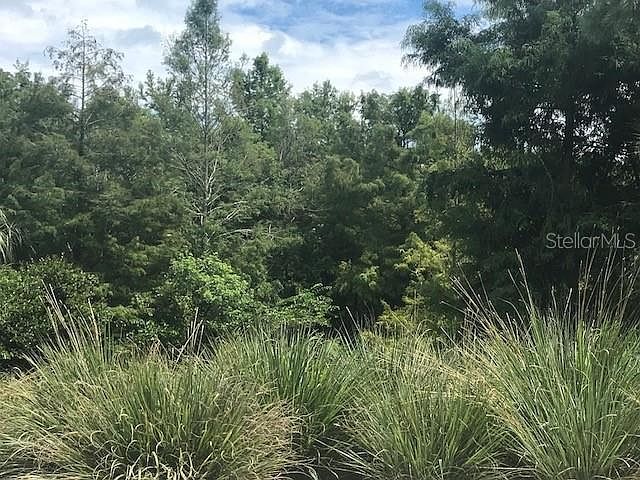 1st image of 0 NE 315 Hwy